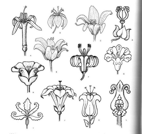 Стилизация растений Грэхем Лесли