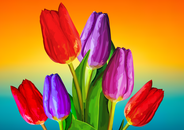 Рисование тюльпанов