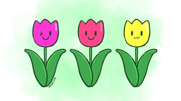 Тюльпан мульт