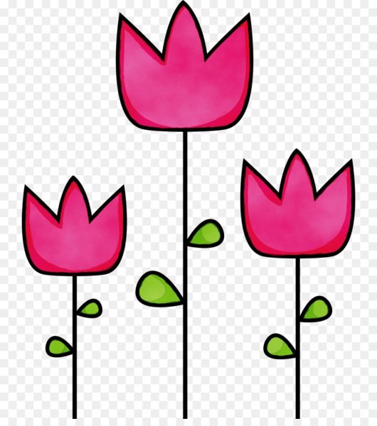 Тюльпан схематично