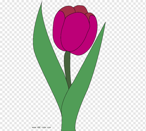Тюльпаны трафарет цветной