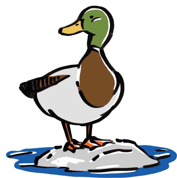 Утка мультяшная