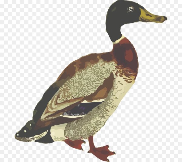 Утка Векторная Графика