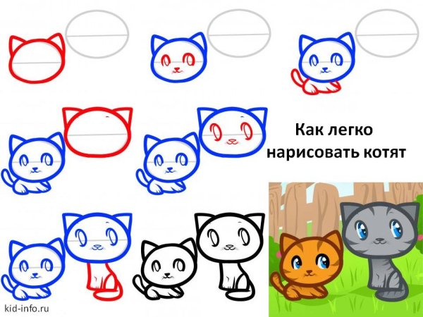 Как рисовать котенка
