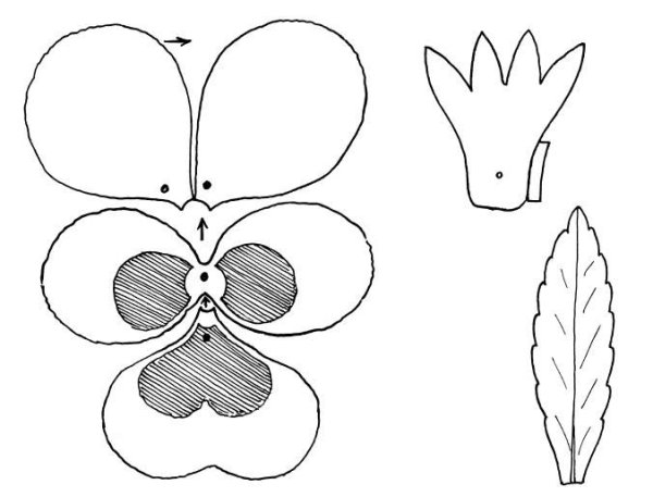 Анютины глазки выкройка