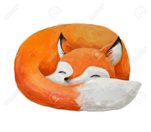 Лиса свернулась калачиком