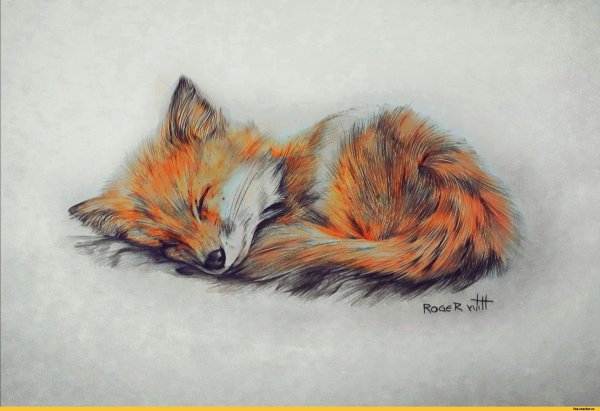 Лиса рисунок