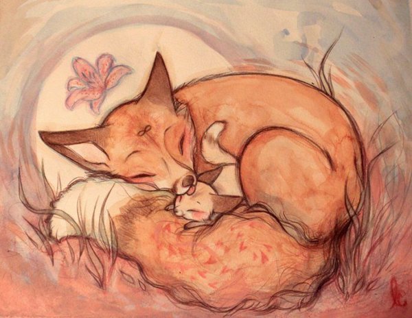 Лиса спит с лисятами