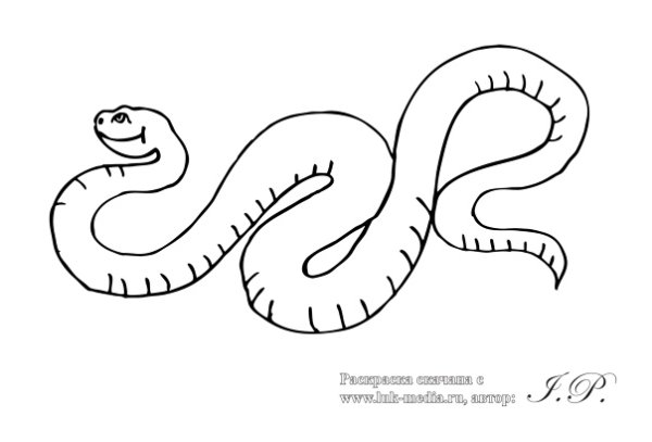 Животные пустыни песчаный удавчик