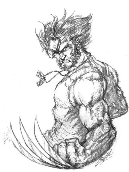 Росомаха карандашом