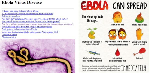 Лихорадка Эбола презентация
