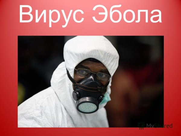 Лихорадка Эбола пути передачи