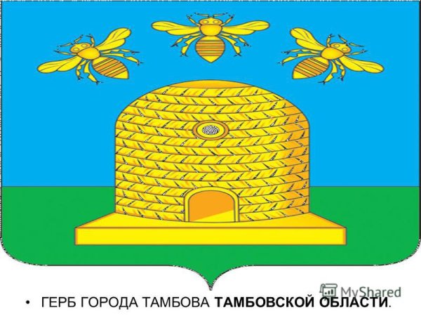 Флаг города Тамбова Тамбовской области