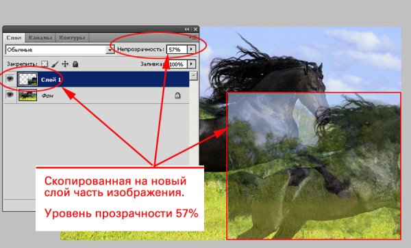 Как сделать фотографию прозрачной