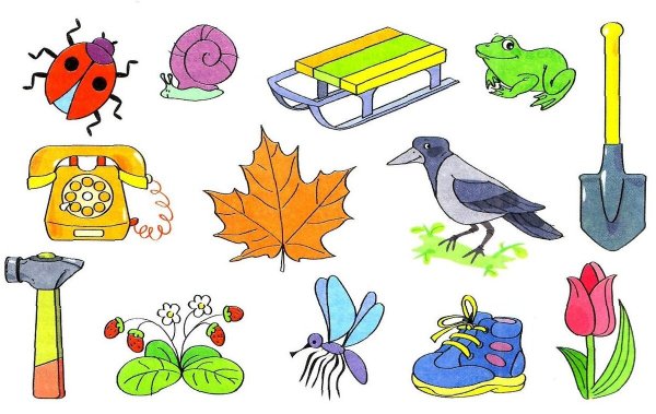 Диагностические тесты для дошкольников