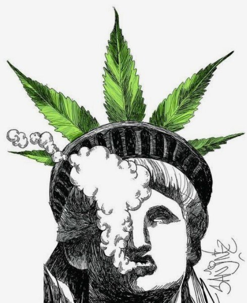 Конопля Графика