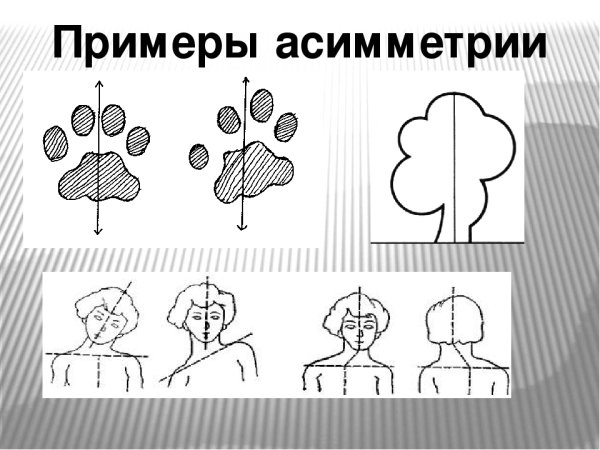 Композиция ритм динамика статика симметрия асимметрия