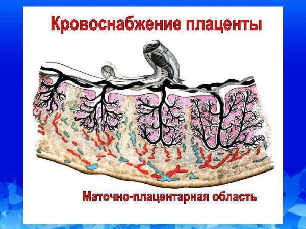 Беременные женщины в искусстве