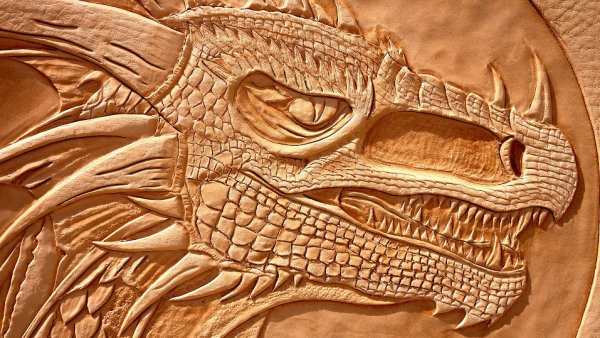 Кожа дракона