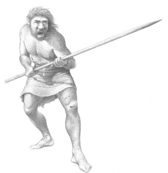 Неандерталец Эволюция