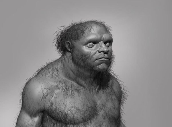 Аборигены неандертальцы