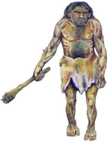 Палеоантропы неандертальцы