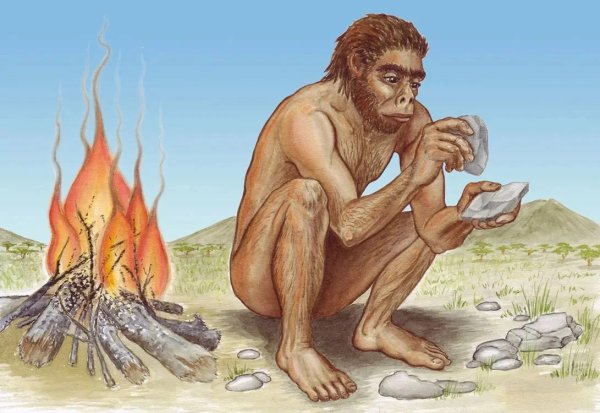 Хомо хабилис Палеоантропы