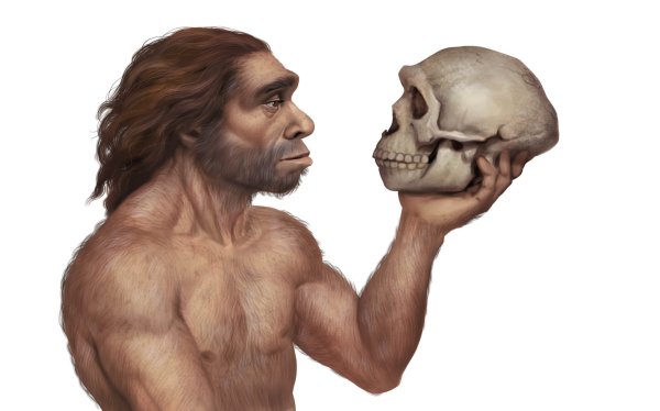 Homo sapiens Neanderthalensis