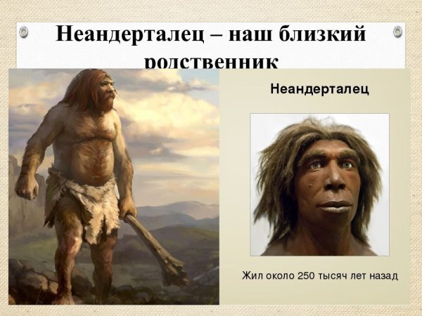 Палеоантропы или древние люди неандертальцы