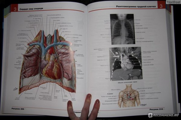 Атлас человека Неттер 5