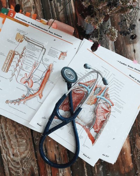 Женская промежность анатомия