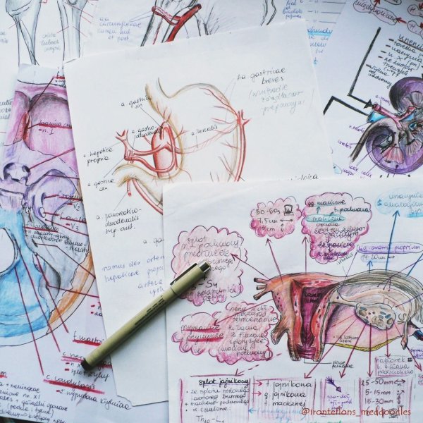 Фрэнк Неттер иллюстрации
