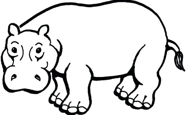 Гиппопотам вид сбоку лицо