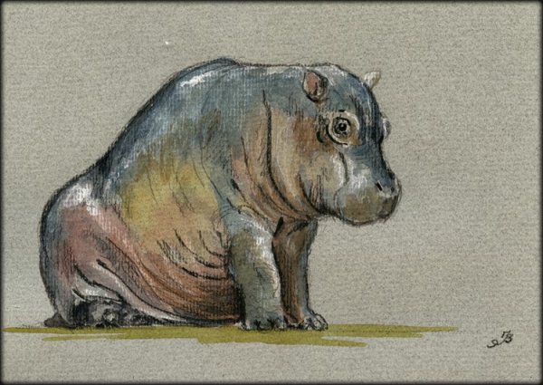 Бегемот мультяшный