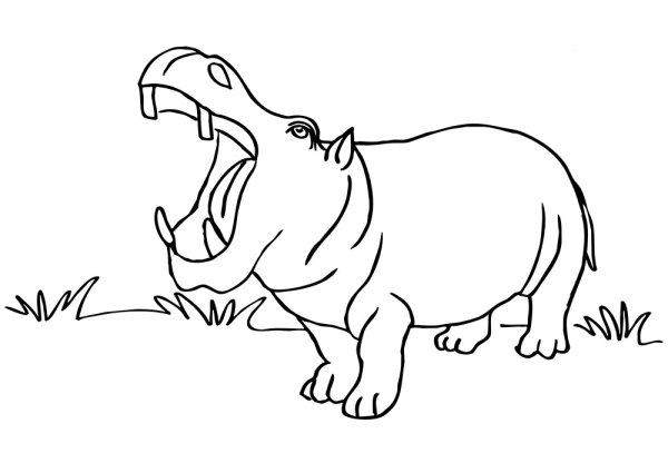 Бегемотик мультяшный