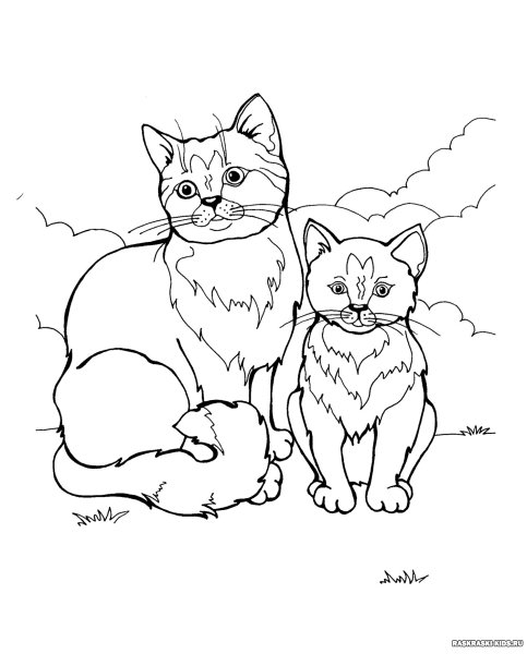Кошки. Раскраска