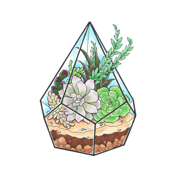 Флорариум акварель