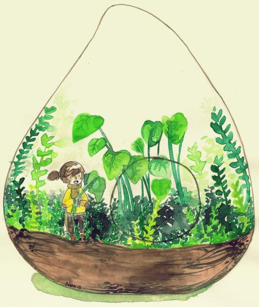 Рисунок флорариума