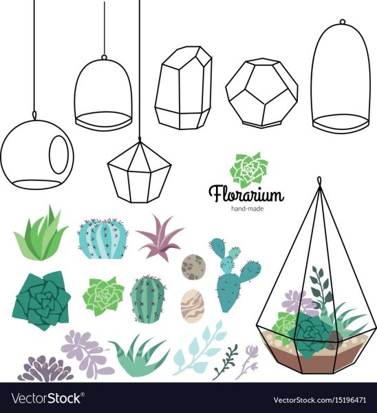 Флорариум схема