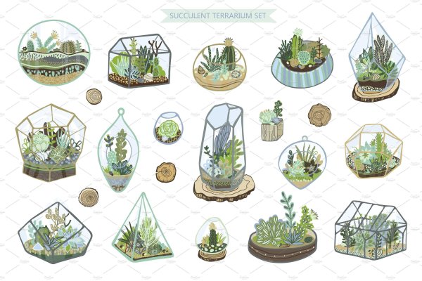 Флорариум схема