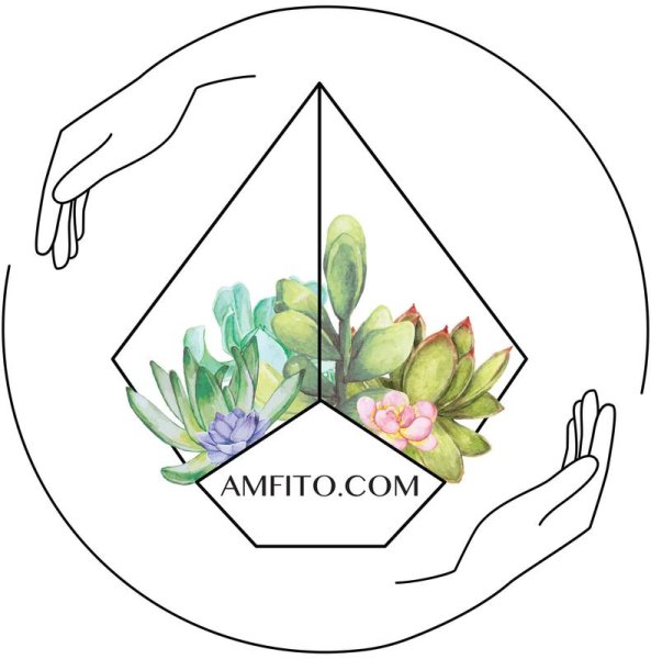 Логотип для флорариумов