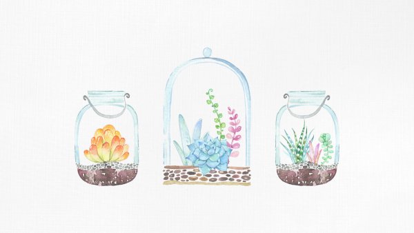 Флорариум из кактусов