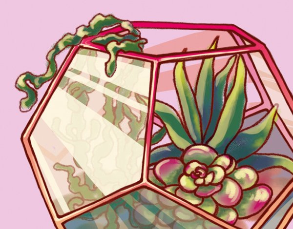 Флорариум раскраска