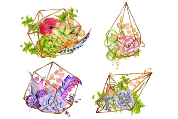 Цветочная композиция в террариуме акварелью