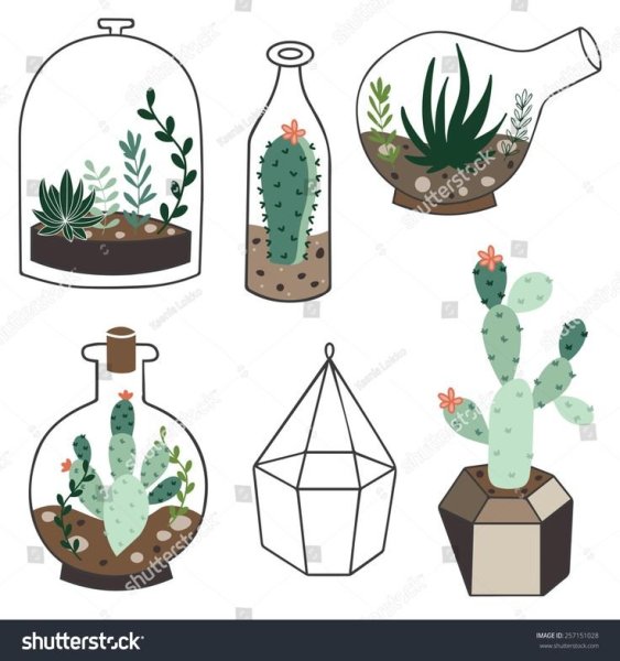 Флорариум рисунок легкий