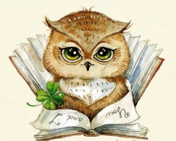 Сова с книжкой