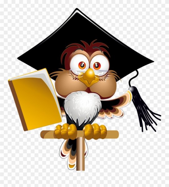 Ученая Сова