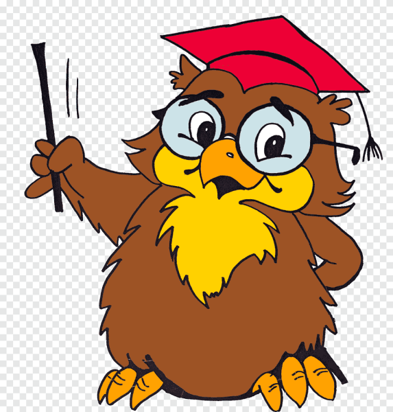 Умная Сова с указкой