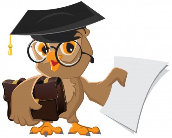 Ученая Сова на прозрачном фоне