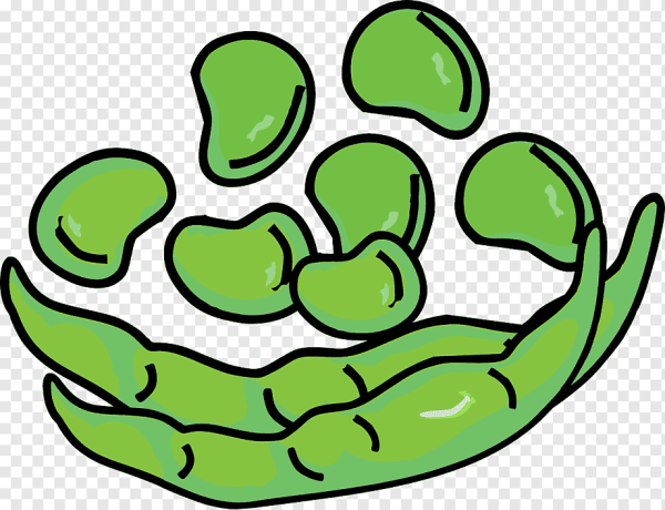 Конские Бобы на белом фоне